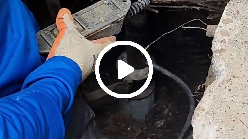 video1
